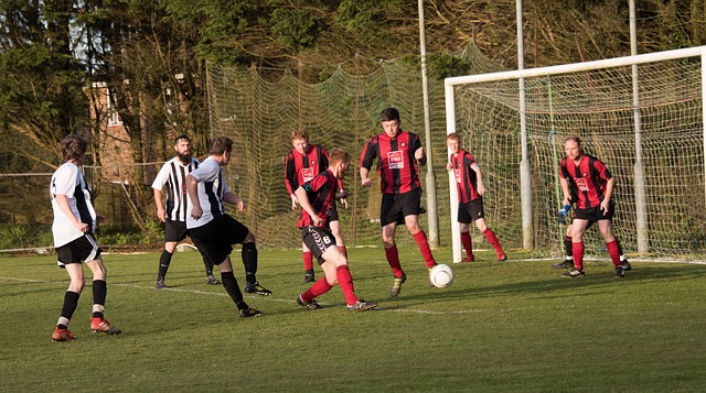 以及越来越 以及越来越