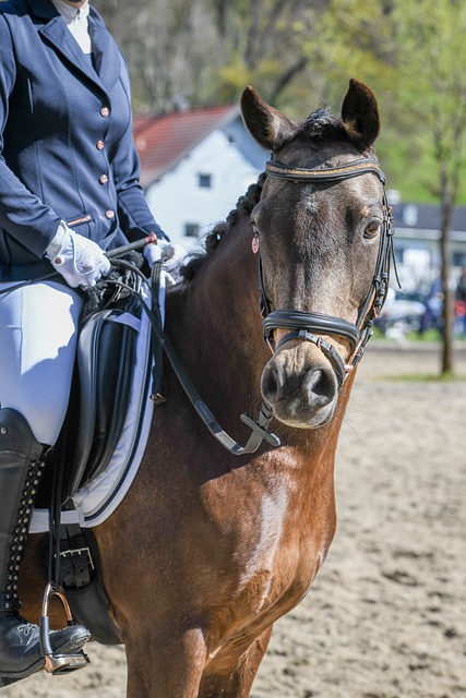 战略布局影 战略布局影