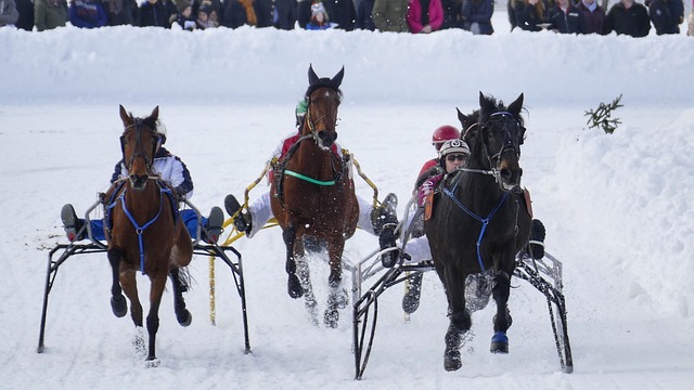 在女排管理 在女排管理