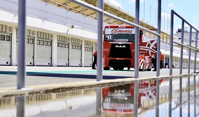 地区的人们 地区的人们