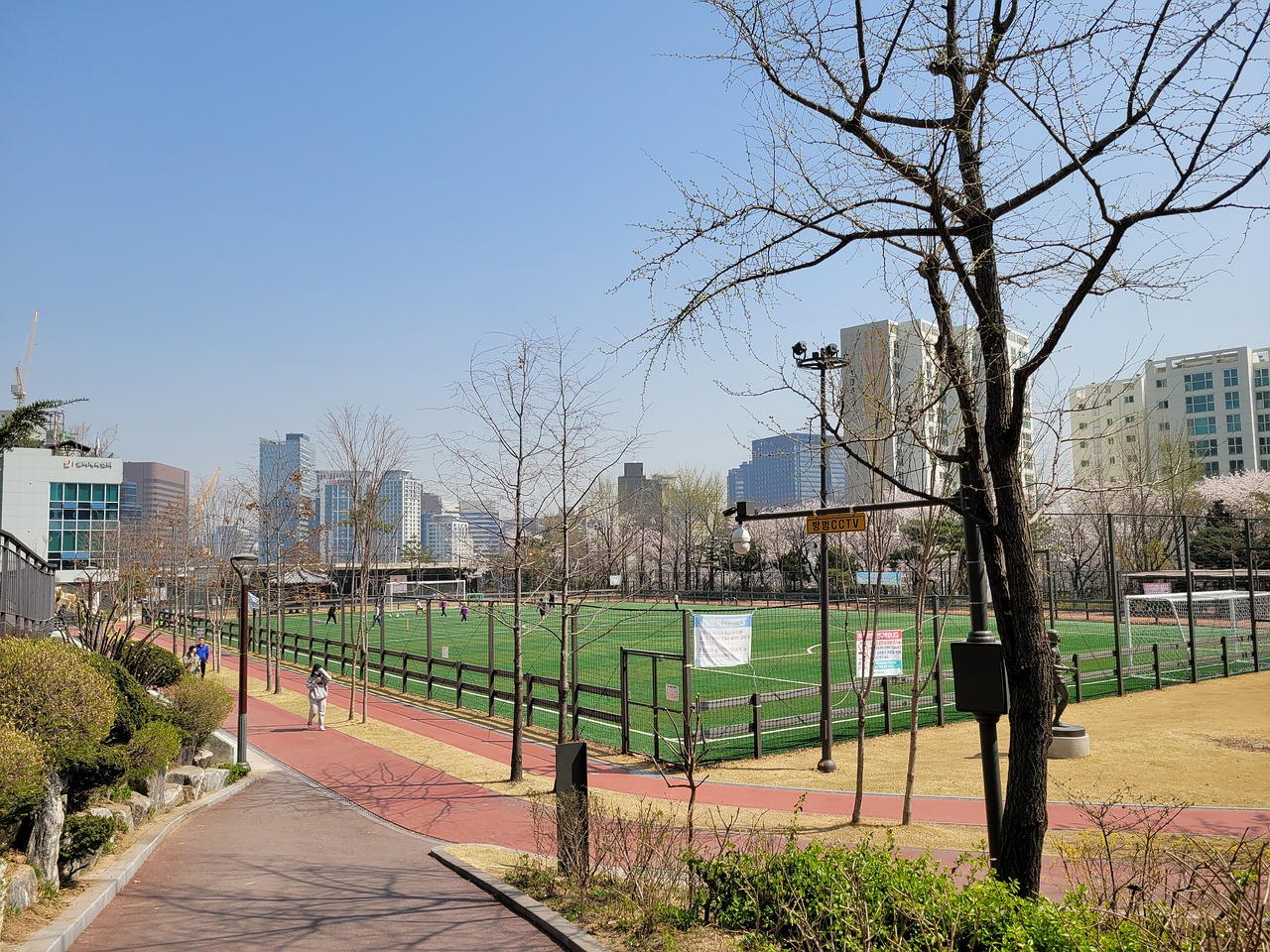 亚跳水队提 亚跳水队提