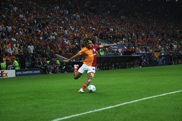 精简训练流 精简训练流