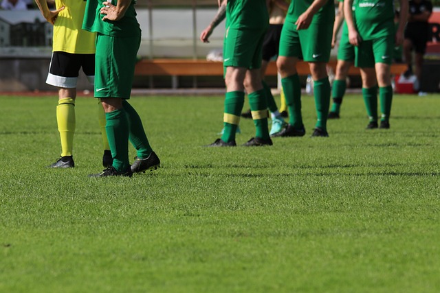 教练泰勒 教练泰勒